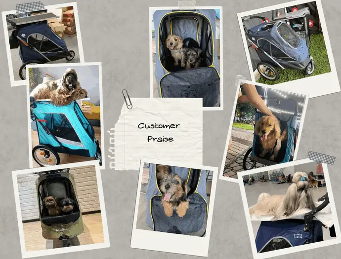 Rugged Dog Stroller for Hiking and Outdoor Adventures