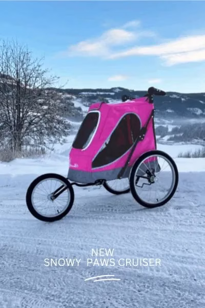 3 large wheels stroller, designed for snow weather. 20 inch back wheels, 16 inch front wheel