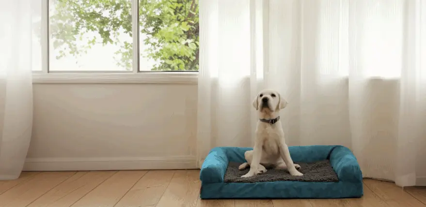 Orthopedic Dog Bed for Joint Pain Relief