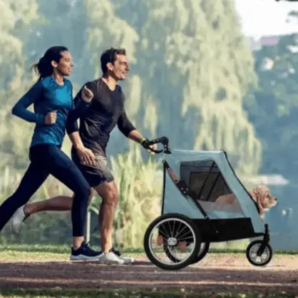 Sturdy Dog Prams for Large Dogs with Canopy and Storage