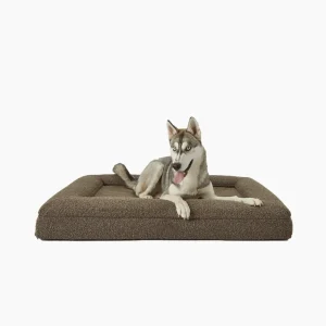 Best Boucle Dog Bed for Large Breeds