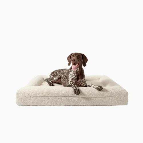 Orthopedic Dog Bed